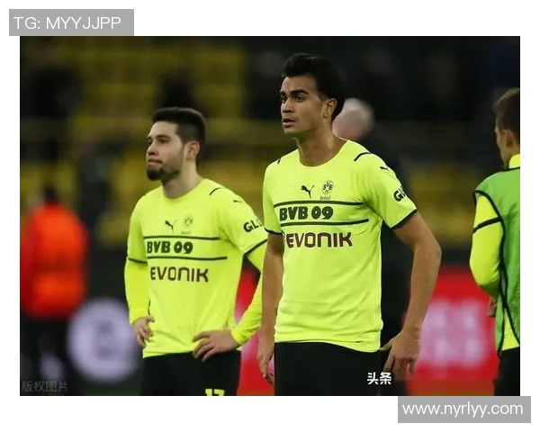 老鹰主教练林怀特被弗雷德特解雇，球队陷入崩溃